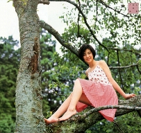 bunshun3.jpg (282936 bytes)