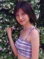 nb110.jpg (63683 bytes)