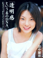 nb75.jpg (80007 bytes)